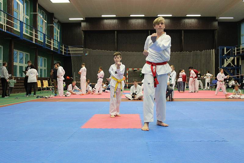 Na domácí turnaj mělnických taekwondistů dorazily téměř dvě stovky závodníků z celého Česka. Mělnický tým nakonec skončil na skvělém čtvrtém místě. V turnaji skills, ve kterém reprezentovali vždy tři bojovníci z každého týmu, skončilo mělnické Hansoo na z