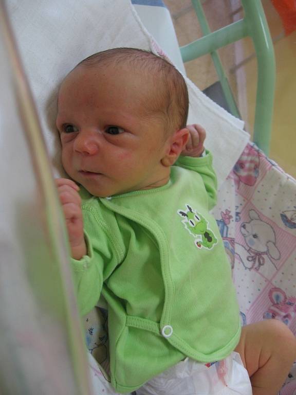 Štěpán Zima se rodičům Aleně Vršovské a Radkovi Zimovi z Mělníka narodil v mělnické porodnici 2. července 2014, vážil 3,30 kg a měřil 50 cm. 