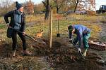 Na výsadbu 14 nových ovocných stromů v Nelahozevsi-Lešanech dohlížel i svatý Jan Nepomucký. Dalšího zvelebení se totiž dočkal tamější sad Višňovka pod Svatojánským vrškem.