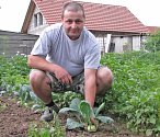V chladných dnech roste zelenina pomaleji, zkušenosti s tím má i cítovský zahrádkář Jiří Matiasko.