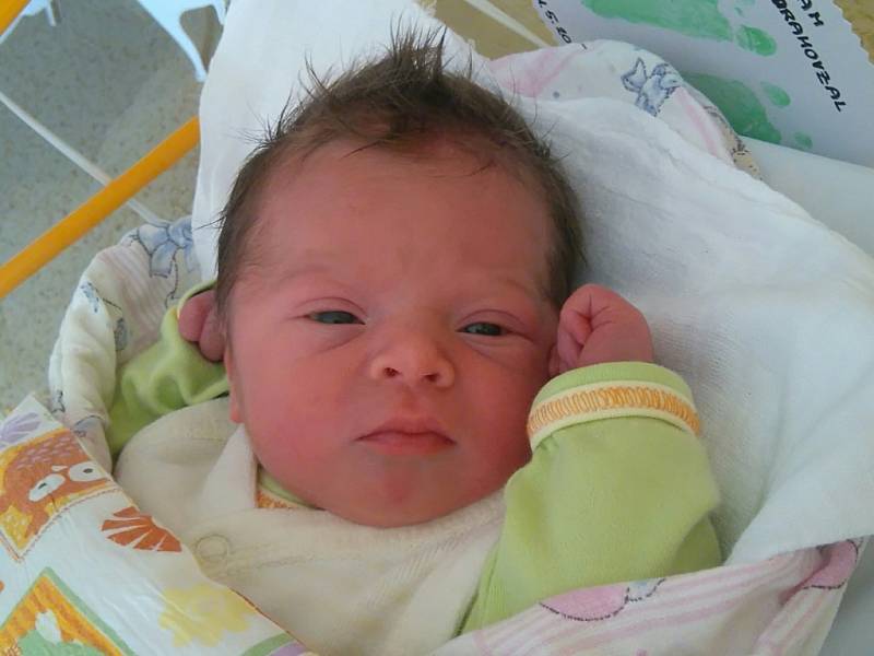 Adam Drahovzal se rodičům Jitce a Lukášovi z mělníka narodil v mělnické porodnici 11. května 2016, vážil 3,16 kg a měřil 49 cm. Na brášku se těší 3letá Julinka.