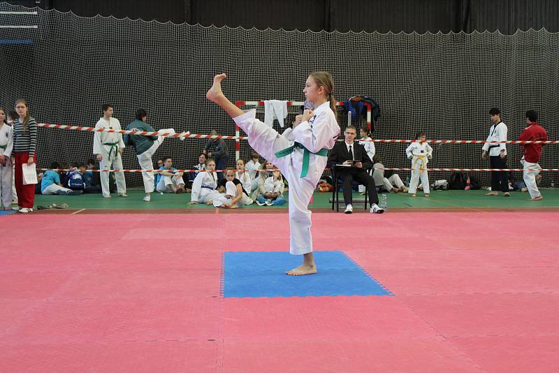 Na domácí turnaj mělnických taekwondistů dorazily téměř dvě stovky závodníků z celého Česka. Mělnický tým nakonec skončil na skvělém čtvrtém místě. V turnaji skills, ve kterém reprezentovali vždy tři bojovníci z každého týmu, skončilo mělnické Hansoo na z