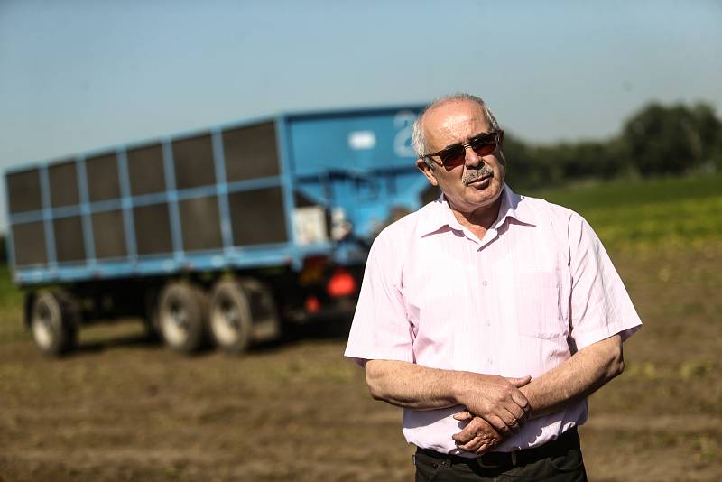 Zahájení sklizně velmi raných brambor představila v pondělí na farmě v Zálezlicích na Mělnicku pěstitelská společnost Hanka Mochov. Na Mělnicku je jednou z pěti či šesti firem, které už na Mělnicku sklízejí letošní brambory – přičemž z pole do obchodu se 