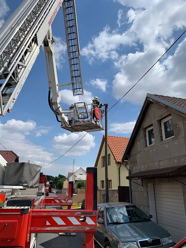 Hasiči zachraňovali kočku ze sloupu telefonního vedení.