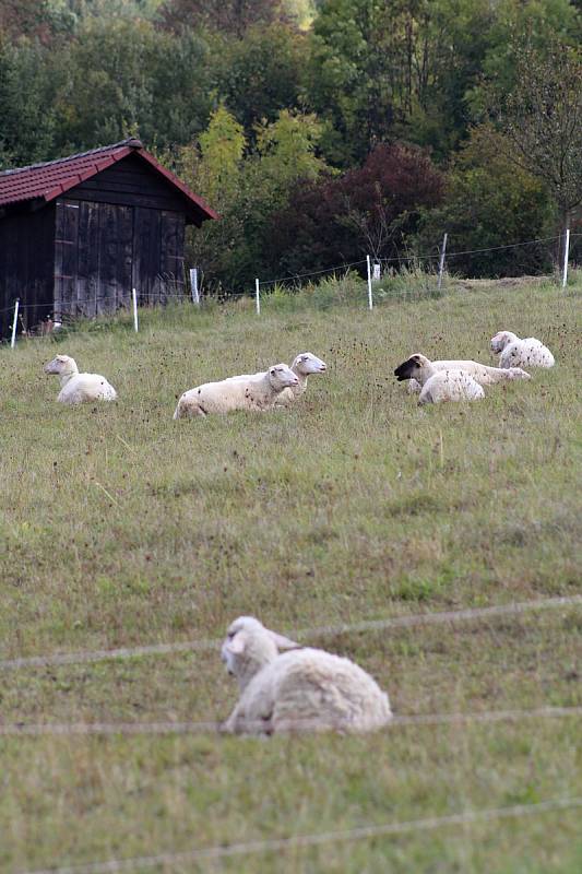 Ilustrační foto