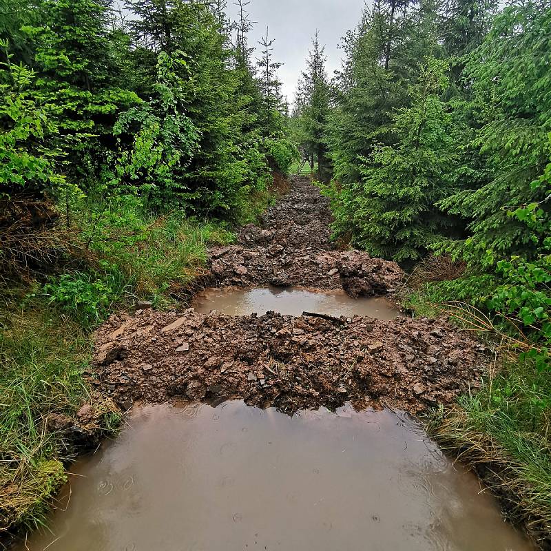 Budování osmadvaceti tůní na nepoužívané přibližovací lince pro stahování dřeva na severním svahu Velkého Javorníku v Beskydech určených pro zadržení vody v krajině.