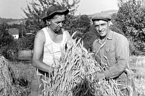 1957 – Socializace zemědělství v obci dopadala na občany velmi těžce. Řada z nich byla ke vstupu donucena těžkými pohrůžkami i vystěhováním z obce. Výsledek byl, že všichni zemědělci, včetně kovozemědělců s výměrou nad 0,5 ha půdy vstoupili do JZD. Koncem