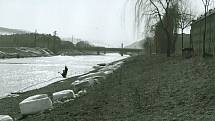 Kry na břehu Vsetínské Bečvy  po zimě v březnu 1963.