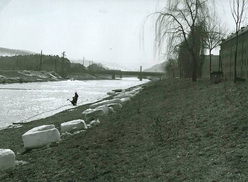 Kry na břehu Vsetínské Bečvy  po zimě v březnu 1963.