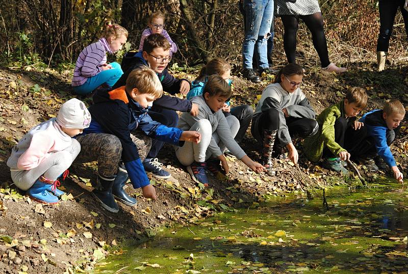 Členové badatelského klubu při Základní škole v Krhové na exkurzi u mokřadu v Hrachovci u Valašského Meziříčí; úterý 15. října 2019