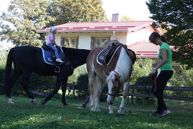 Návštěvníci okresní výstavy zhlédli králíky, drůbež i holuby.