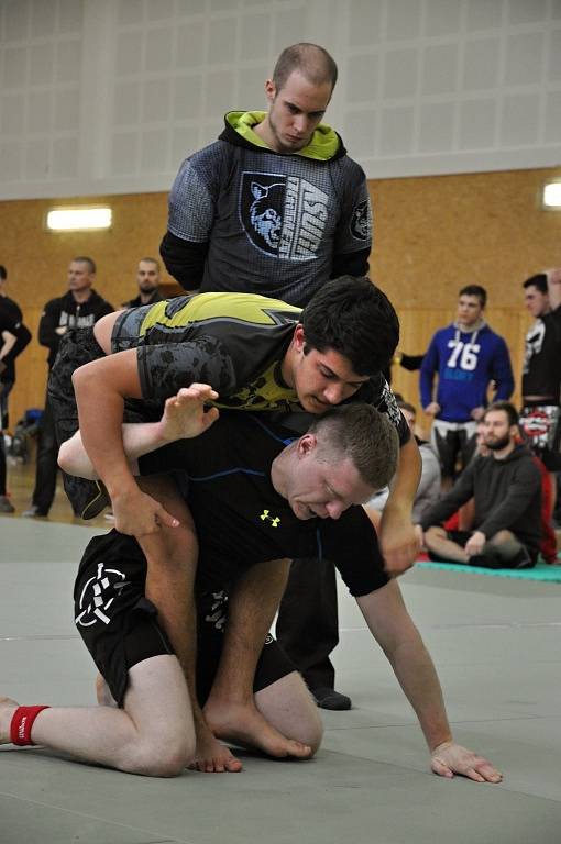 II. ročník ADCC Valachien Cupu v zápase označovaném jako grappling, submission wrestling či brazilské jiu jitsu; Sportovní hala v Janové, sobota 12. března 2016