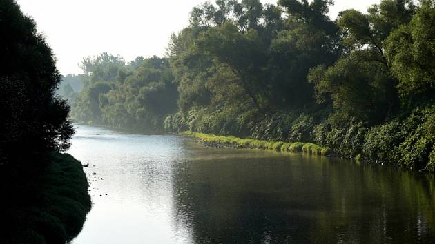 Řeka Bečva u Hustopečí nad Bečvou - Okolí mostu přes řeku Bečvu nedaleko Hustopečí nad Bečvou na Přerovsku, kde před rokem rybáři zaznamenali první otravy ryb na snímku z 15. září 2021.