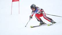 2. den (29.1.2008) - Alpské lyžování - obří slalom, Ski areál Razula, Velké Karlovice