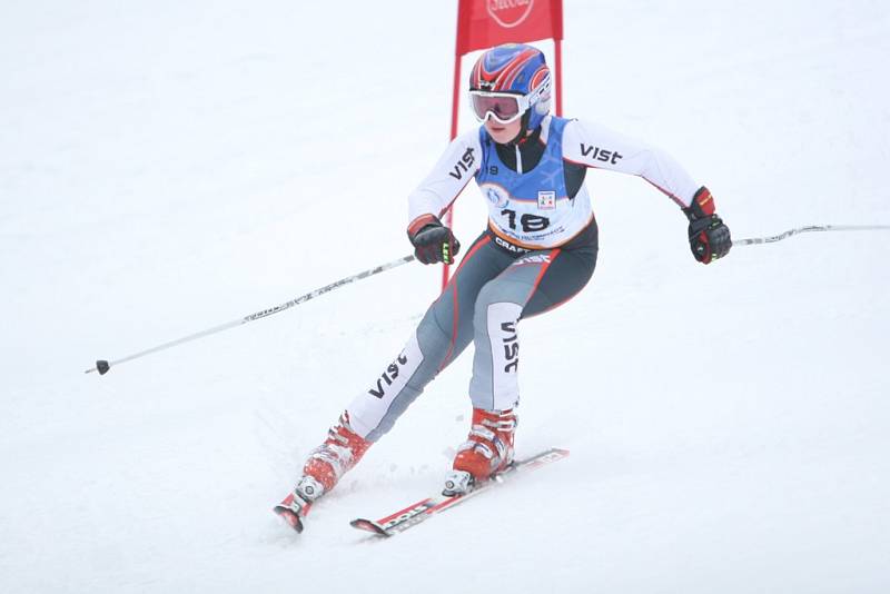 2. den (29.1.2008) - Alpské lyžování - obří slalom, Ski areál Razula, Velké Karlovice