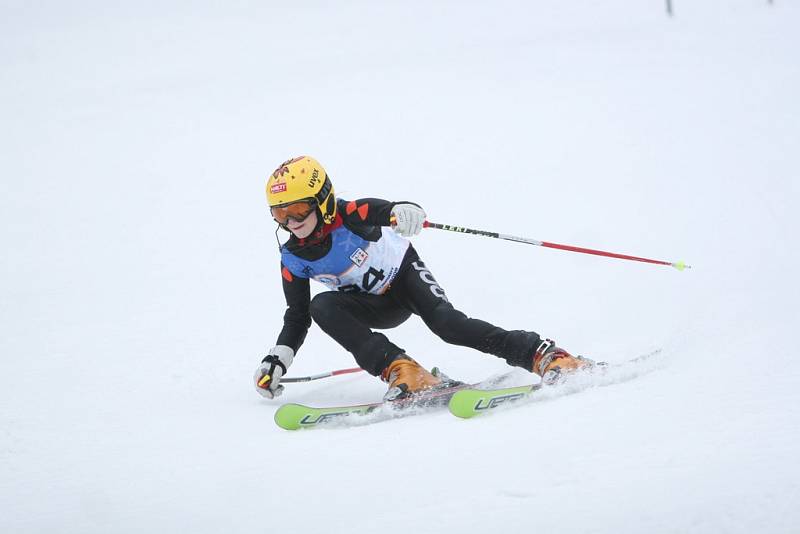 2. den (29.1.2008) - Alpské lyžování - obří slalom, Ski areál Razula, Velké Karlovice