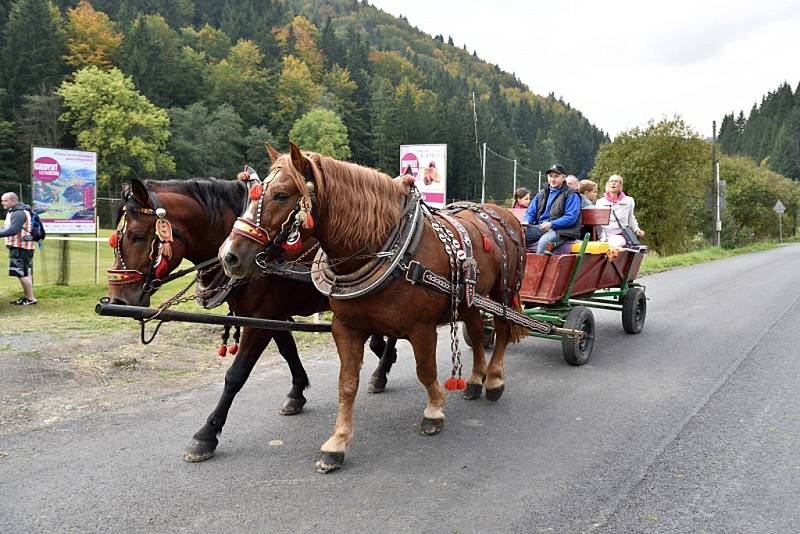 Karlovský gastrofestival 2016. 