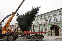 Vánoční strom pro Rožnov věnovala letos městu rodina Mrhalova. Odborníci ho uřezali ve Viganticích a převezli na náměstí v pondělí 26. listopadu 2018.