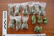 Policisté našli v domku muže ze Vsetína kompletní pěstírnu konopí, pět desítek rostlin i již připravenou marihuanu.