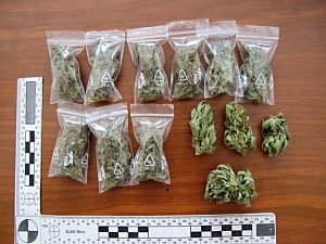Policisté našli v domku muže ze Vsetína kompletní pěstírnu konopí, pět desítek rostlin i již připravenou marihuanu.