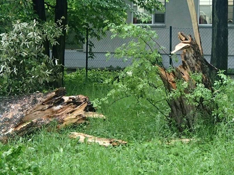 Škody na lesních a parkových porostech napáchal silný vítr koncem minulého týdne taky ve Valašském Meziříčí.