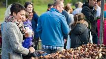 Karlovský gastrofestival 2016. 