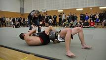 II. ročník ADCC Valachien Cupu v zápase označovaném jako grappling, submission wrestling či brazilské jiu jitsu; Sportovní hala v Janové, sobota 12. března 2016