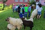 Děti ze Základní školy Rokytnice a dalších škol ve Vsetíně si ve čtvrtek 18. května užívaly na zahradě rokytnické školy Farmářského dne.