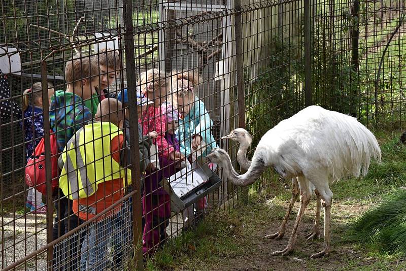 Minizoo s názvem Fauna park - Dětský ráj na Štěpánově ve Valašském Meziříčí je o 1. října 2019 znovu otevřené. Je přístupné zdarma a k vidění je zde na dvacet druhů zvířat.