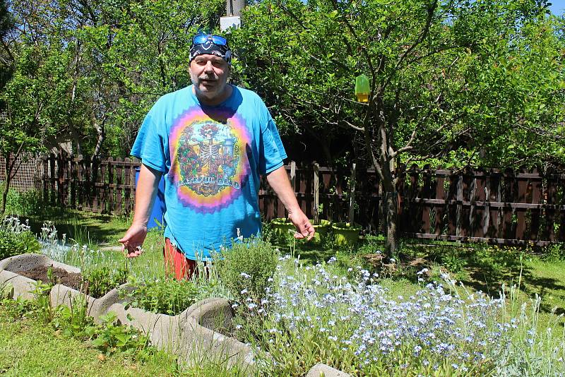 Zdeněk Hrachový, kapelník skupiny Fleret, přežil Koronavirus ve svém domku díky práci na zahrádce a malé podkrovní zkušebně. Vlastnoručně vypěstované bylinky používá na čaje a při vaření.