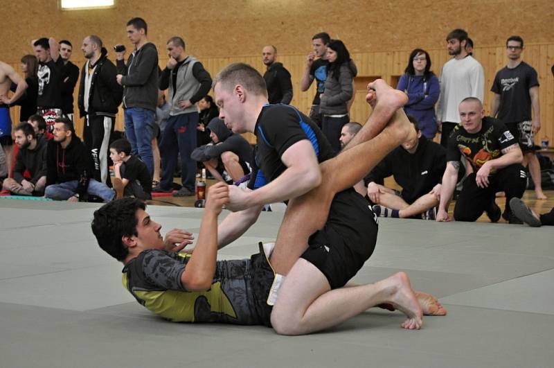 II. ročník ADCC Valachien Cupu v zápase označovaném jako grappling, submission wrestling či brazilské jiu jitsu; Sportovní hala v Janové, sobota 12. března 2016