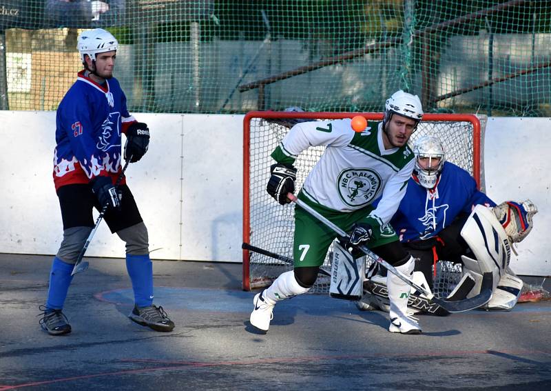 1. liga hokejbalu Malenovice - Plzeň Litice