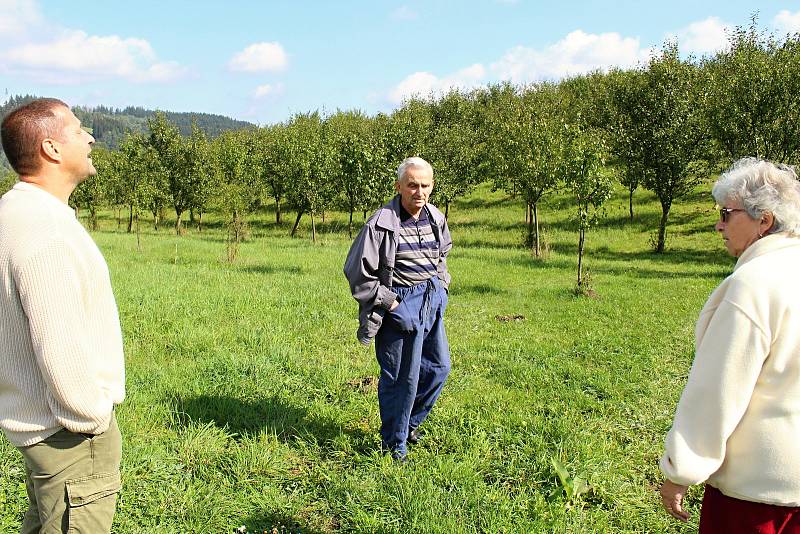 Manželé Pařenicovi sadili sad před dvanácti lety. Jan Surý, který koupil polovinu sadu začal mezi stromy stavět plot. Zda na správném místě a jestli na základě souhlasu řeší úřady.