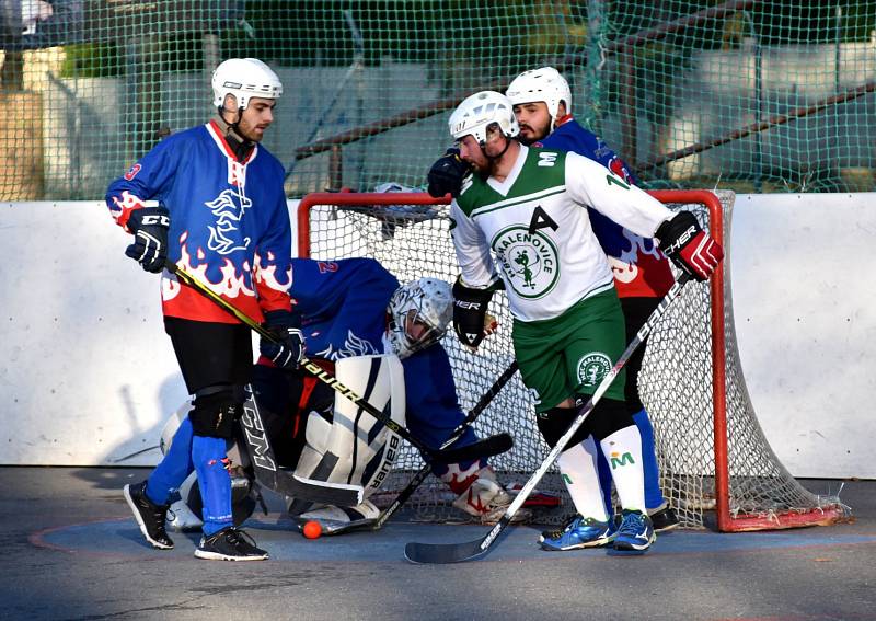 1. liga hokejbalu Malenovice - Plzeň Litice