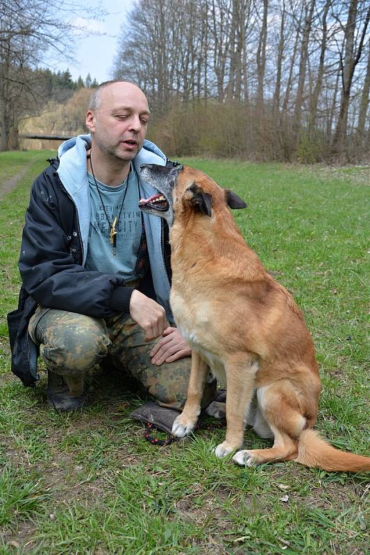 Psi nemohli v době pandemie na cvičáky. Chybí jim socializace. Na snímku výcvikář Pavel Riedl se čtrnáctiletou fenou belgického ovčáka Cho Chang.