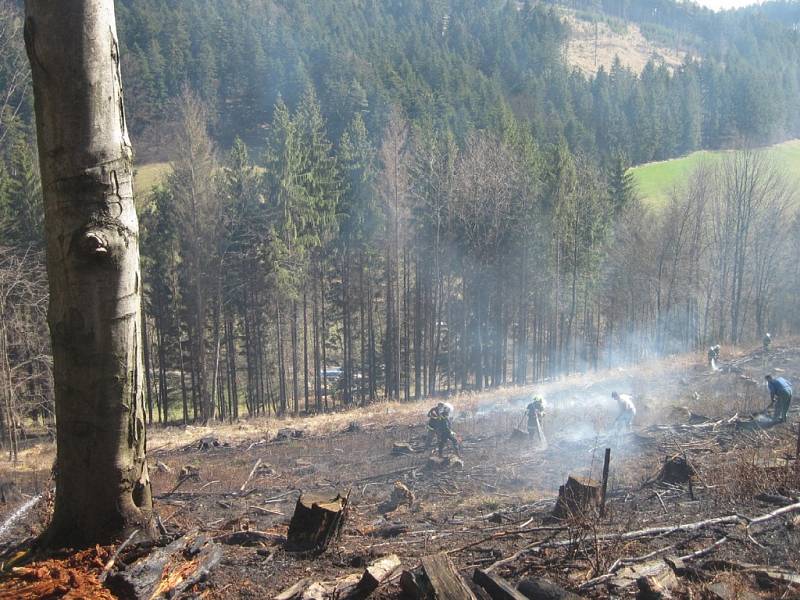Hasiči zabránili rozšíření požáru do lesa.