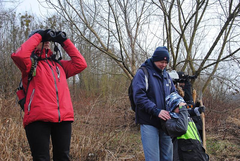 Meziříčští dobrovolníci sčítali v sobotu 11. ledna 2020 s dalekohledy a zápisníky zimní ptáky na řece Bečvě