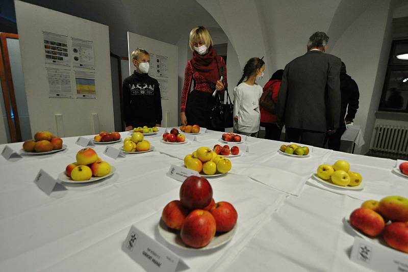 Součástí křtu nové knihy Sušárny ovoce: Živé dědictví (nejen) Horního Vsacka na zámku ve Vsetíně byla také výstava plodů krajových odrůd ovoce; listopad 2021