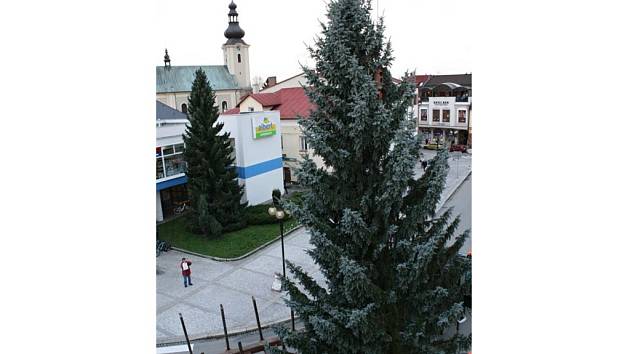 Rožnované už mohou na svém náměstí obdivovat letošní vánoční strom. 