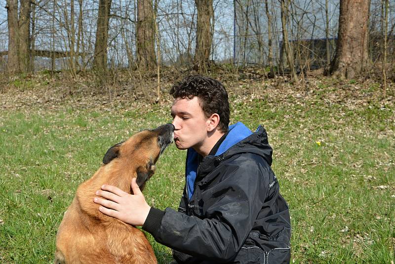 Psi nemohli v době pandemie na cvičáky. Chybí jim socializace. Na snímku Tomáš Václavík s fenou Cho Chang.