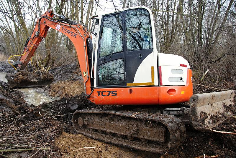 Ochránci přírody za pomoci bagru čistí tůně mokřadu Rákosina u Stříteže nad Bečvou; leden 2020