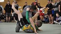 II. ročník ADCC Valachien Cupu v zápase označovaném jako grappling, submission wrestling či brazilské jiu jitsu; Sportovní hala v Janové, sobota 12. března 2016