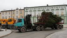 Vánoční strom pro Rožnov věnovala letos městu rodina Mrhalova. Odborníci ho uřezali ve Viganticích a převezli na náměstí v pondělí 26. listopadu 2018.