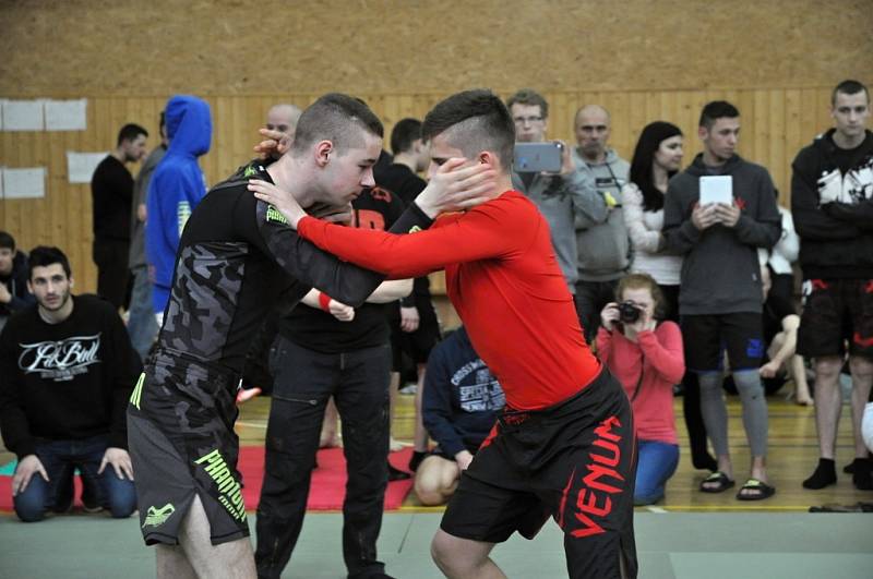 II. ročník ADCC Valachien Cupu v zápase označovaném jako grappling, submission wrestling či brazilské jiu jitsu; Sportovní hala v Janové, sobota 12. března 2016