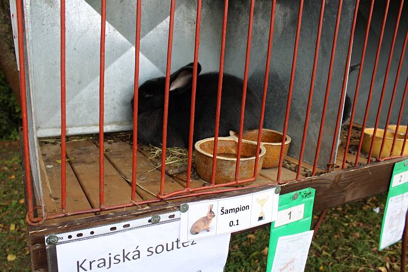 Sedmnáctá krajská soutěžní chovatelská výstava králíků, holubů a drůbeže se uskutečnila o víkendu