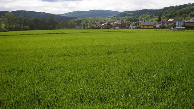 Tři desítky nových parcel vznikají nedaleko návsi v místní části zvané Dělnice. 