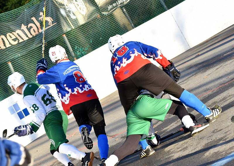 1. liga hokejbalu Malenovice - Plzeň Litice