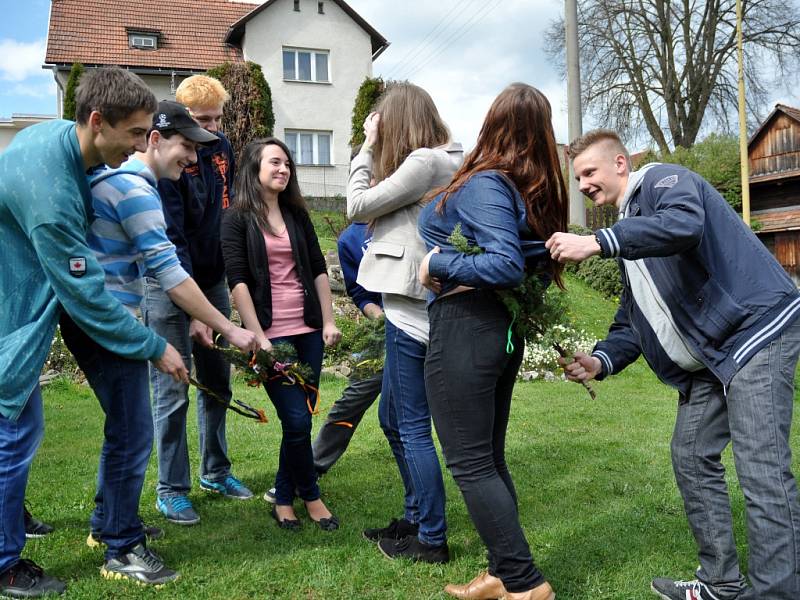 Šmigrust na Valašsku se tradičně vedle pletených tatarů či březových metliček neobejde ani bez větviček jalovce. 