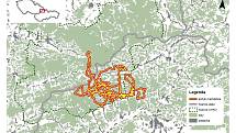 Mapa znázorňující pohyb telemetricky sledované medvědice od 9. července do 8. září 2019.