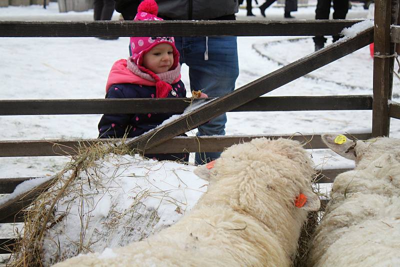 Valašský mikulášský jarmek ve Valašských Kloboukách